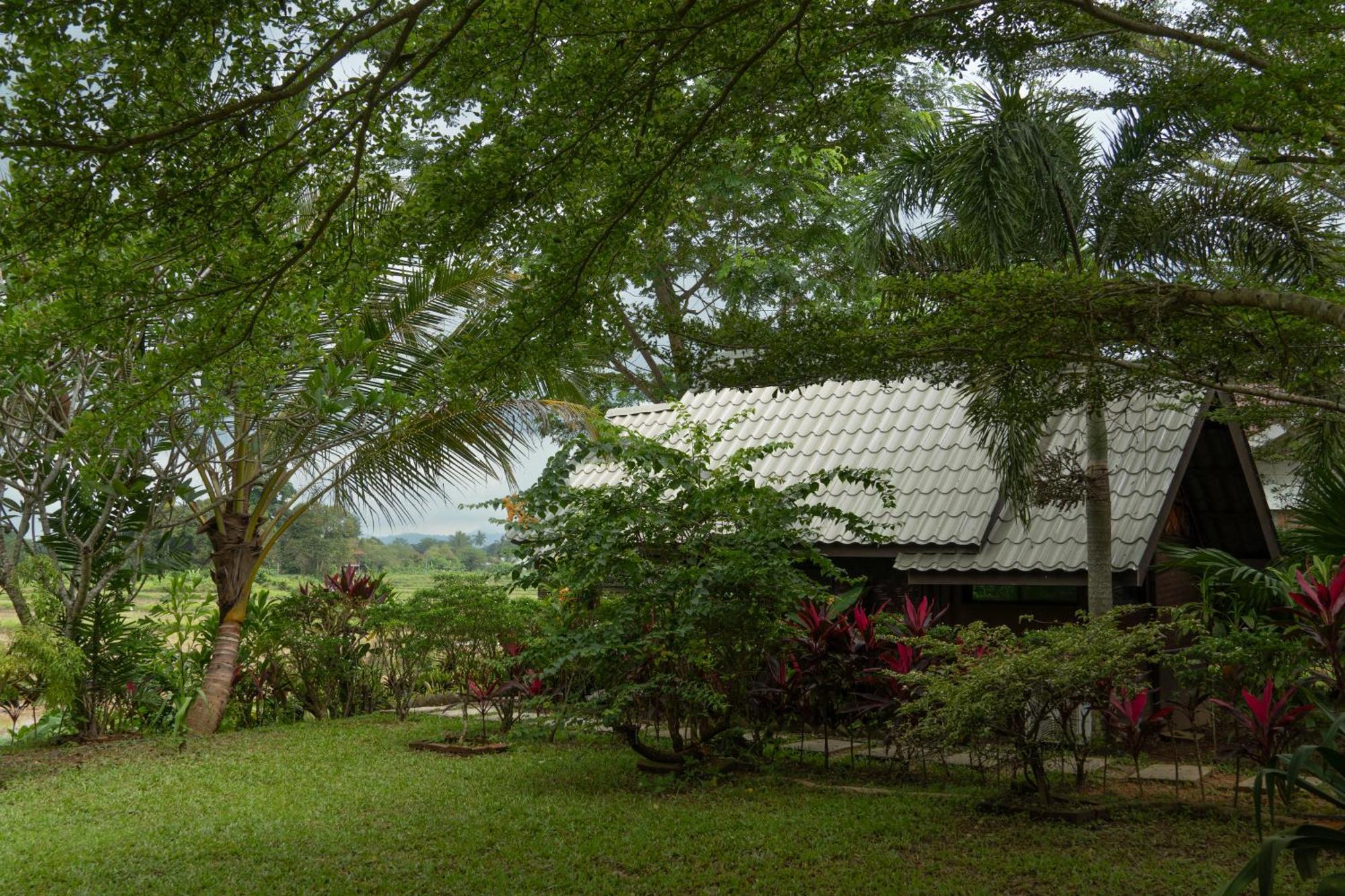 Bambu Getaway Leilighet Kuah Eksteriør bilde